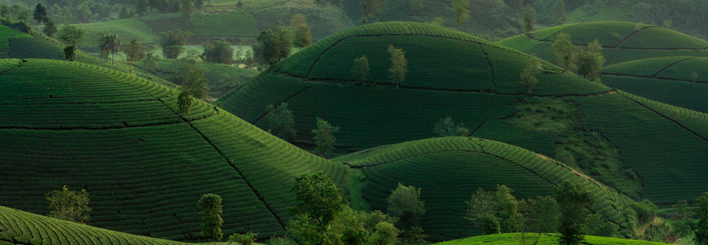massages biodynamiques